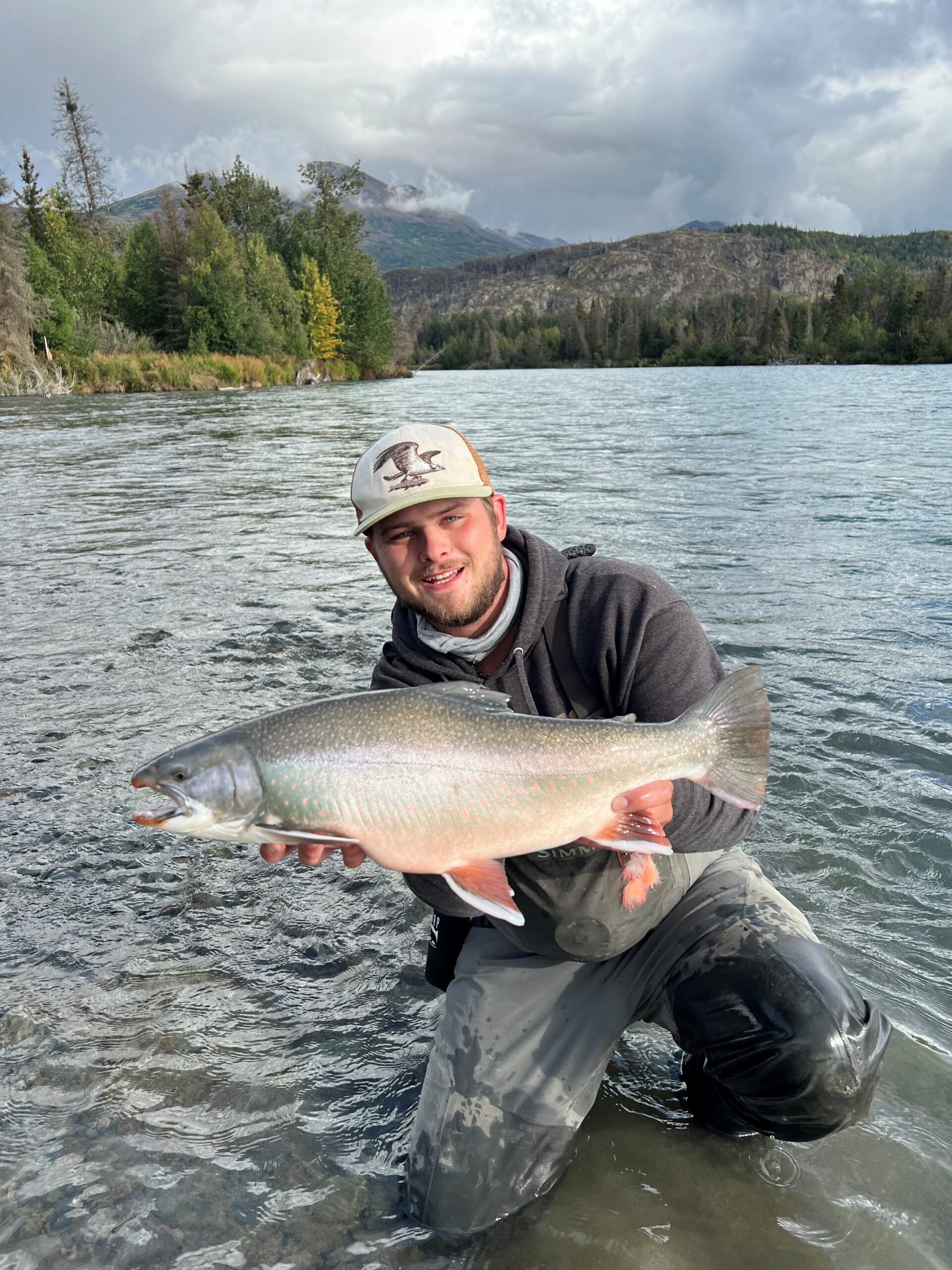 Profile Dolly rotated